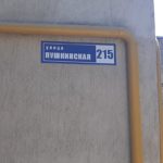 Пушкинская 215